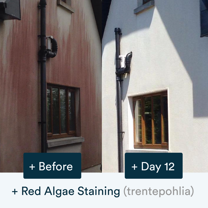 Buy the Actiwash Professional: Powerful Outdoor Biocide now. Available for dispatch in Ireland from Ted Johnson Ltd, Naas, County Kildare, W91 XW35. Problem Solved!