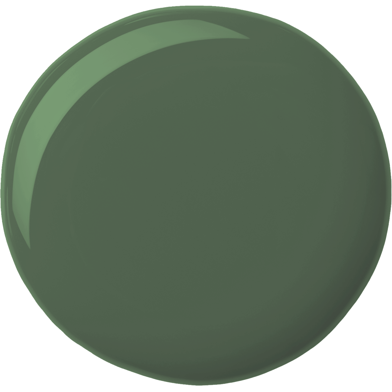Beyond Paint Cabinet & Furniture Paint Forest Green