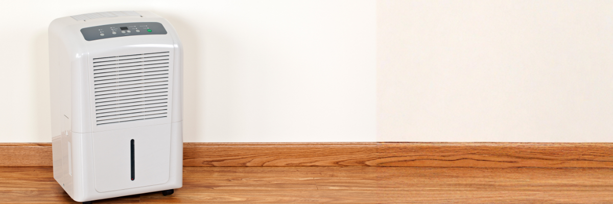 Dehumidifier