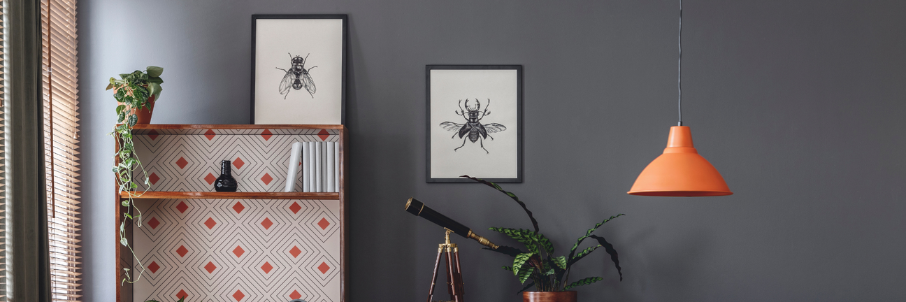 Grey & Black Paints