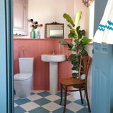 Farrow & Ball Fruit Fool Paint 9911