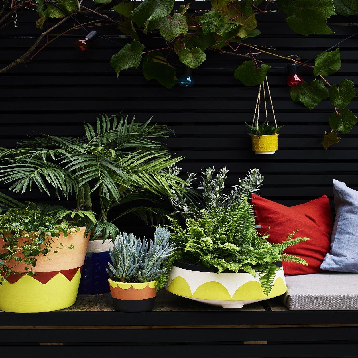 Cuprinol Garden Shades Black Ash 125ml TedJohnsons.ie