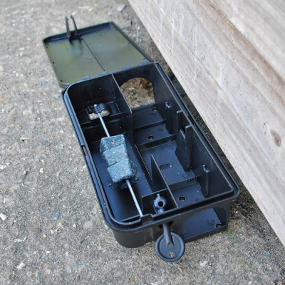 Big Cheese All-Weather Block Bait - 15 x 10g