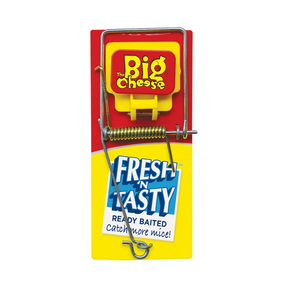 Big Cheese Fresh Baited Mouse Trap