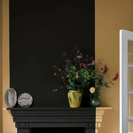 Farrow & Ball Cane Paint 53