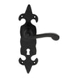 Carlisle Brass LF5504 Fleur De Lys' Lever Standard on Backplate | Black