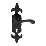 Carlisle Brass LF5504 Fleur De Lys' Lever Standard on Backplate | Black