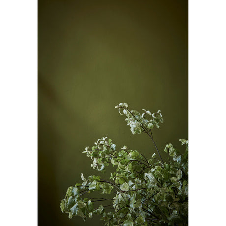Little Greene Citrine Paint 071