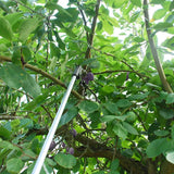 Defenders Garden Care Trigger Picker

