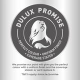 Dulux Weathershield Black Masonry Paint 10L