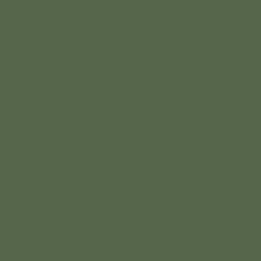 Colourtrend Faerie Moss