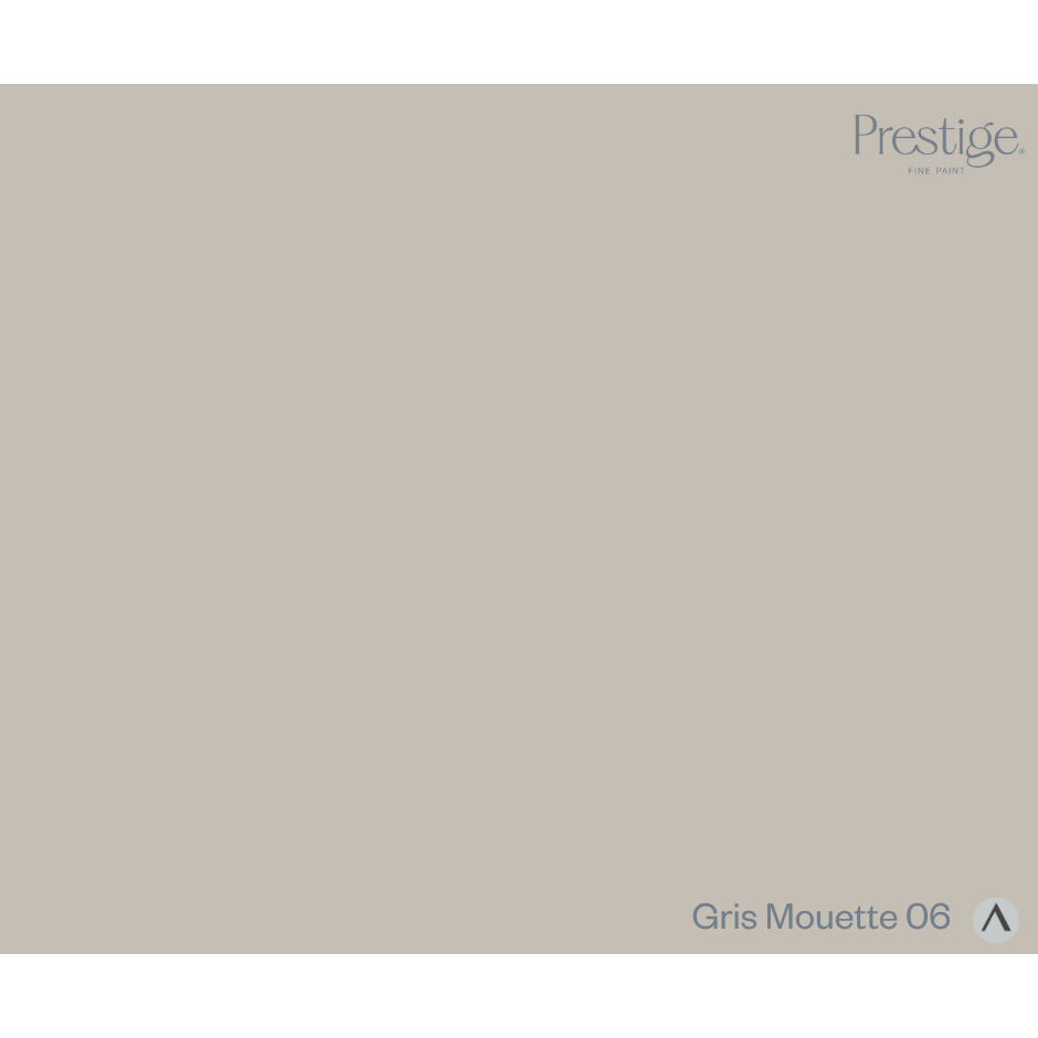Prestige Gris Mouette Paint