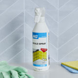 HG Mould Bathroom Spray | 500ml