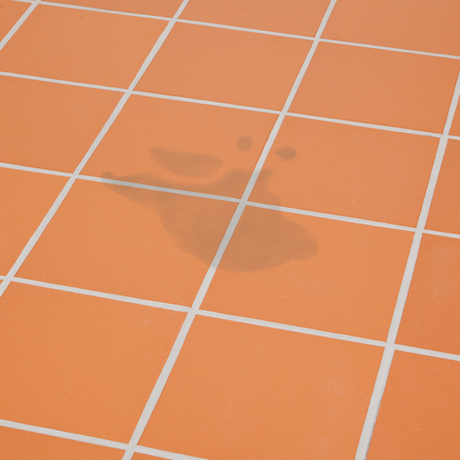 HG Tile Stain Cleaner - 500ml