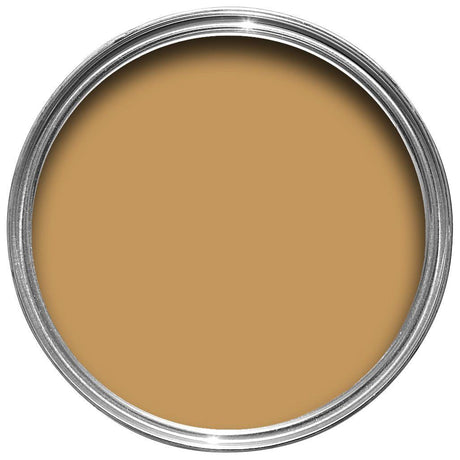 Farrow & Ball India Yellow Paint 66