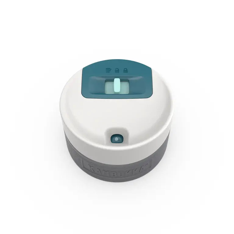 Kambukka Etna Vacuum Flask 300Ml Deep Teal