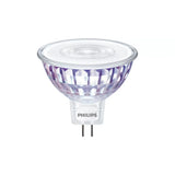 Philips Spot LED Bulb 50W M16 GU5.3 355 Lumen in Warm White | Pack of 2