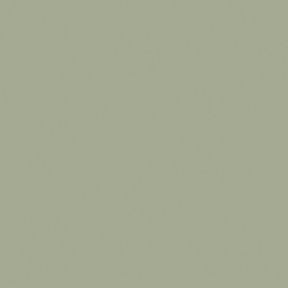 Little Greene Boringdon Green Paint 295