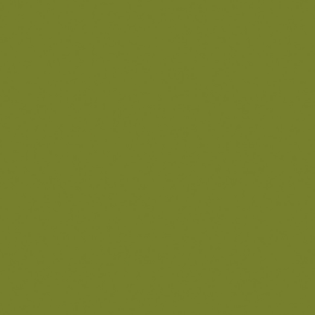Little Greene Citrine Paint 071