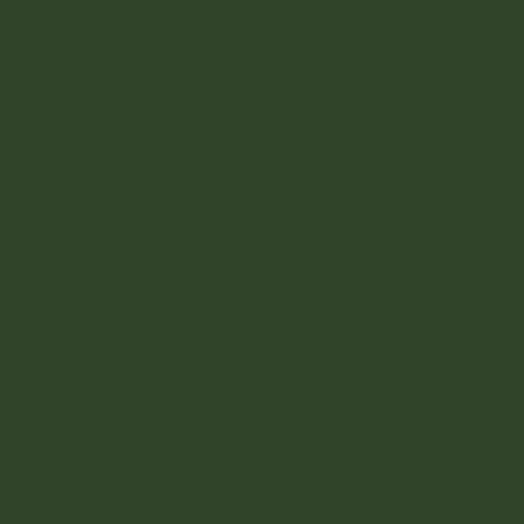 Little Greene Dark Brunswick Green Paint 088