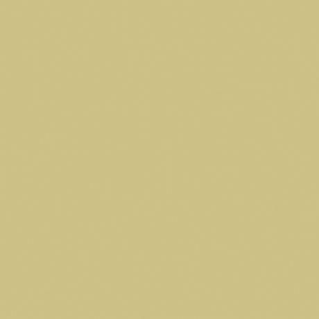 Little Greene Oak Apple Paint 63
