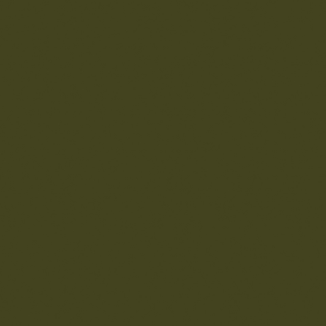 Little Greene Olive Paint
