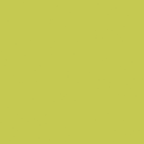 Little Greene Pale Lime Paint 070