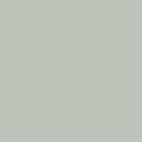Little Greene Pearl Colour Dark Paint 169