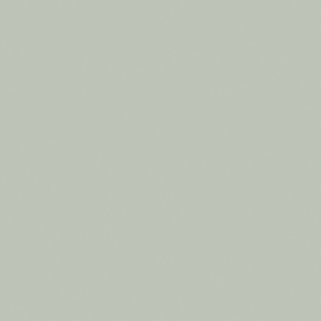 Little Greene Pearl Colour Dark Paint 169