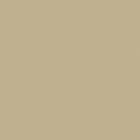 Little Greene Roman Plaster Paint 31