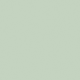 Little Greene Salix Paint 099