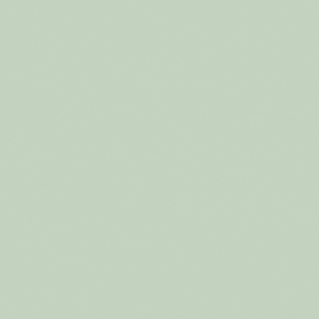 Little Greene Salix Paint 099