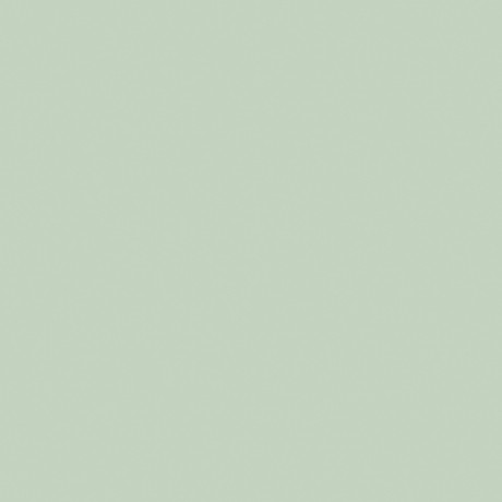 Little Greene Salix Paint 099