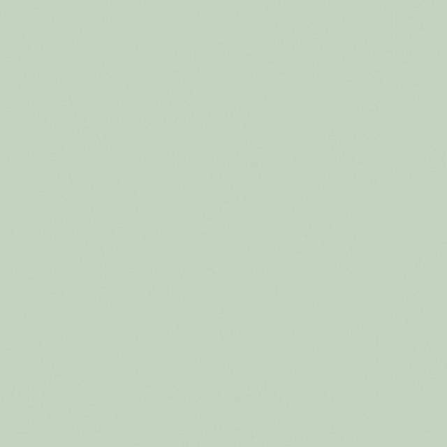 Little Greene Salix Paint 099