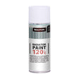 Maston Radiator Spray Paint Satin White 