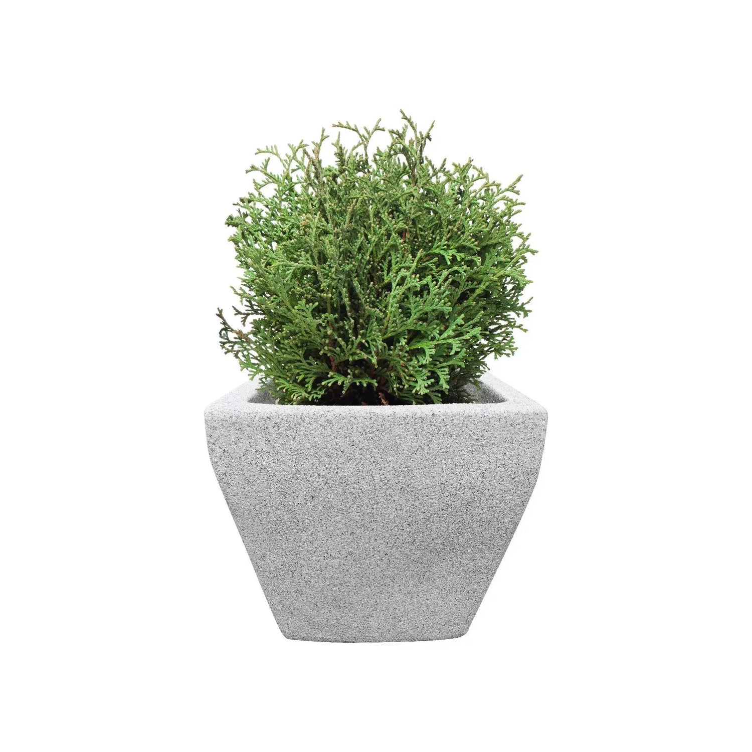 Maston Spray Paint Stone effect Grey 400ml