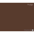 A solid brown color swatch labeled 'Prestige Fine Paint' and 'Cinnamon 36' in the bottom right corner.