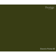 Prestige Electric Pickle Paint