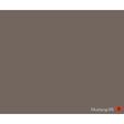 A solid colour swatch tile in a warm, muted taupe-brown shade labeled 'Mustang 66' with a red 'R' indicator in the bottom right corner. Prestige Mustang Paint