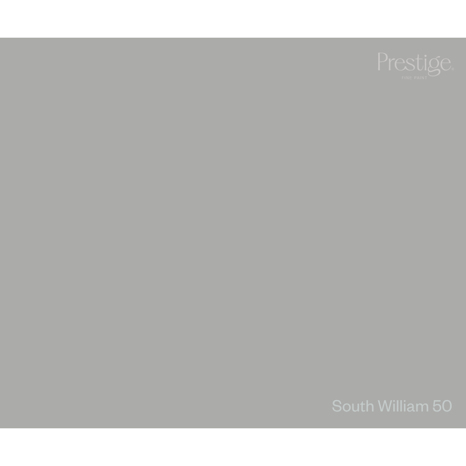 A solid gray color swatch tile with the Prestige brand logo in the top right corner and the text 'South William 50' in the bottom right corner.