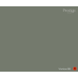 Prestige Venice Paint Swatch