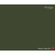 A solid dark olive green colour swatch with the Prestige brand logo in the top right corner and the text 'Water Lilies 94' with a red 'R' in the bottom right corner. Prestige Water Lilies Paint