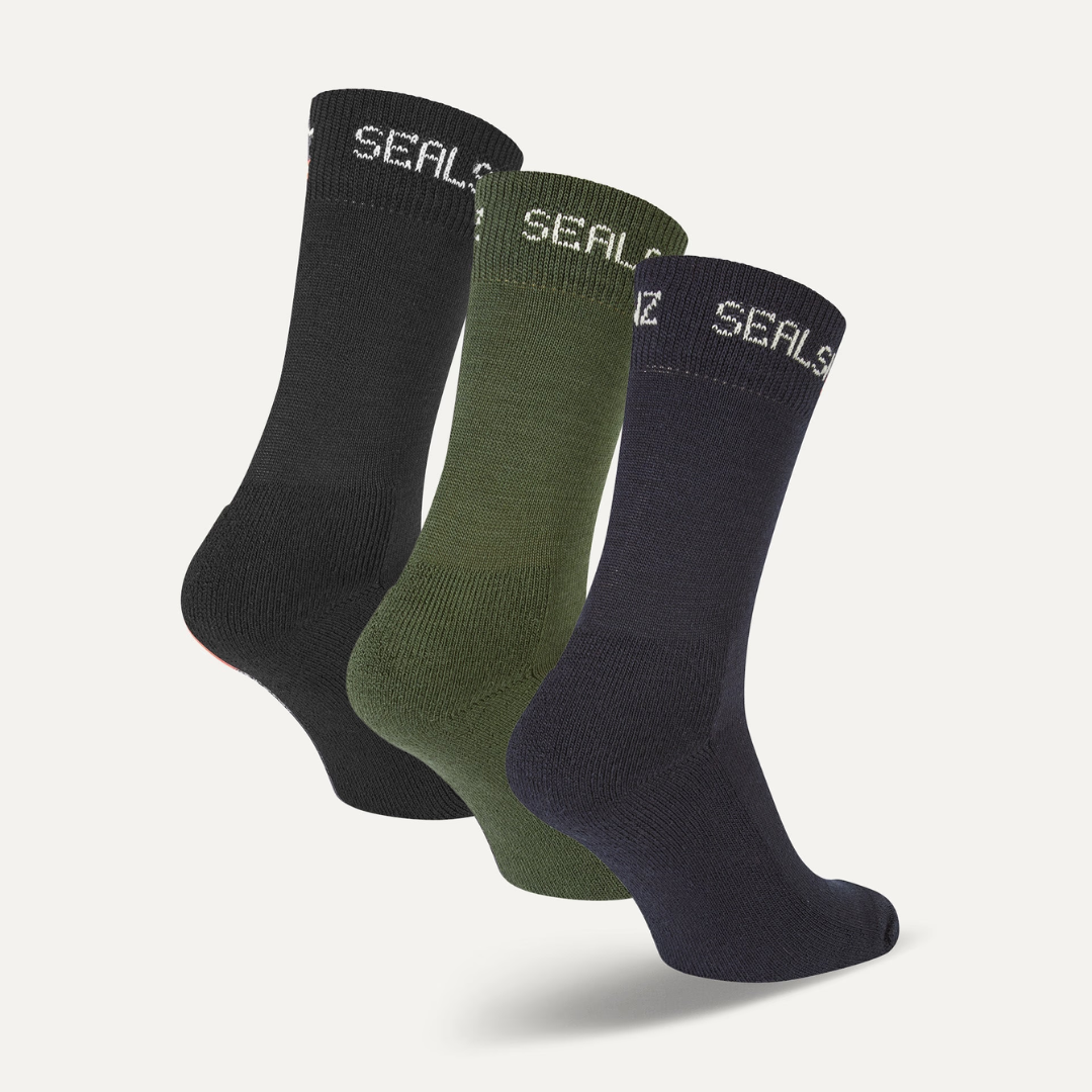 Suffield Solo Merino Liner Sock - 3 Pack