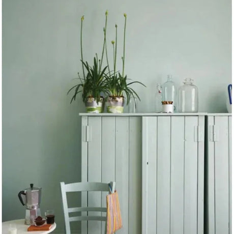 Farrow & Ball Teresa's Green Paint 236