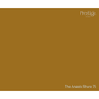 A solid color swatch card for Prestige Fine Art, showing the color 'The Angel's Share 75' in a warm ochre-brown tone, with the brand logo in the top right and the color name in the bottom right.