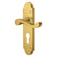 A polished brass door lever handle with a matching backplate and keyhole cutout, shown on a plain white background.
Vision Indus Scroll Lever Lock Handle | Brass