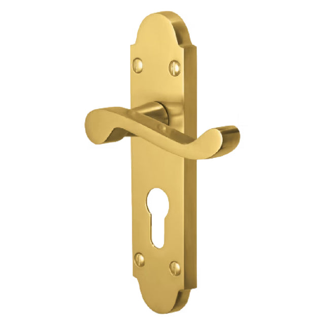 A polished brass door lever handle with a matching backplate and keyhole cutout, shown on a plain white background.
Vision Indus Scroll Lever Lock Handle | Brass