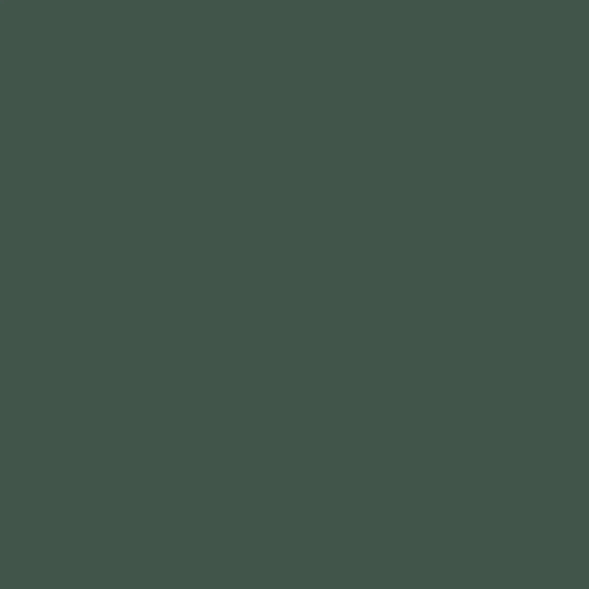 Colourtrend Christmas Wreath
