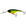 Westin BabyBite DR Low Floating Crankbait - 6.5cm