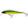 Westin Jerkbite SR Lure 7.5cm/5g